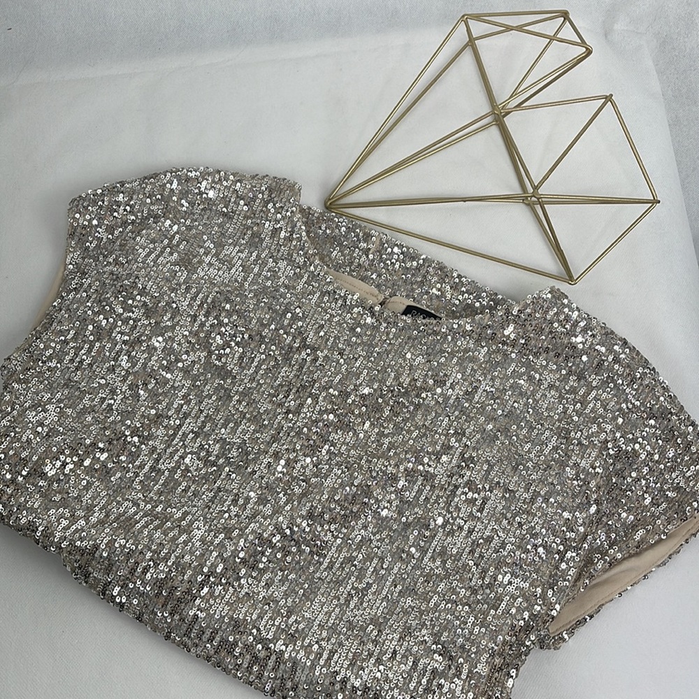 Rachel Zoe Silvery Taupe Sequined Top